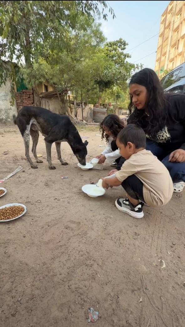 Dog feeding photo 2